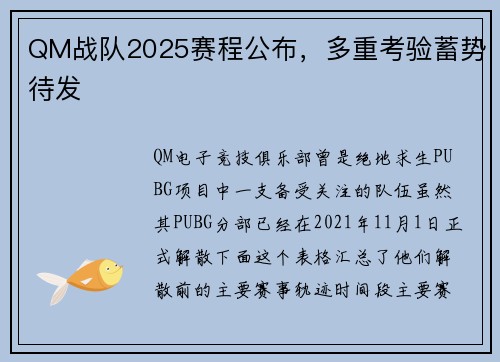 QM战队2025赛程公布，多重考验蓄势待发